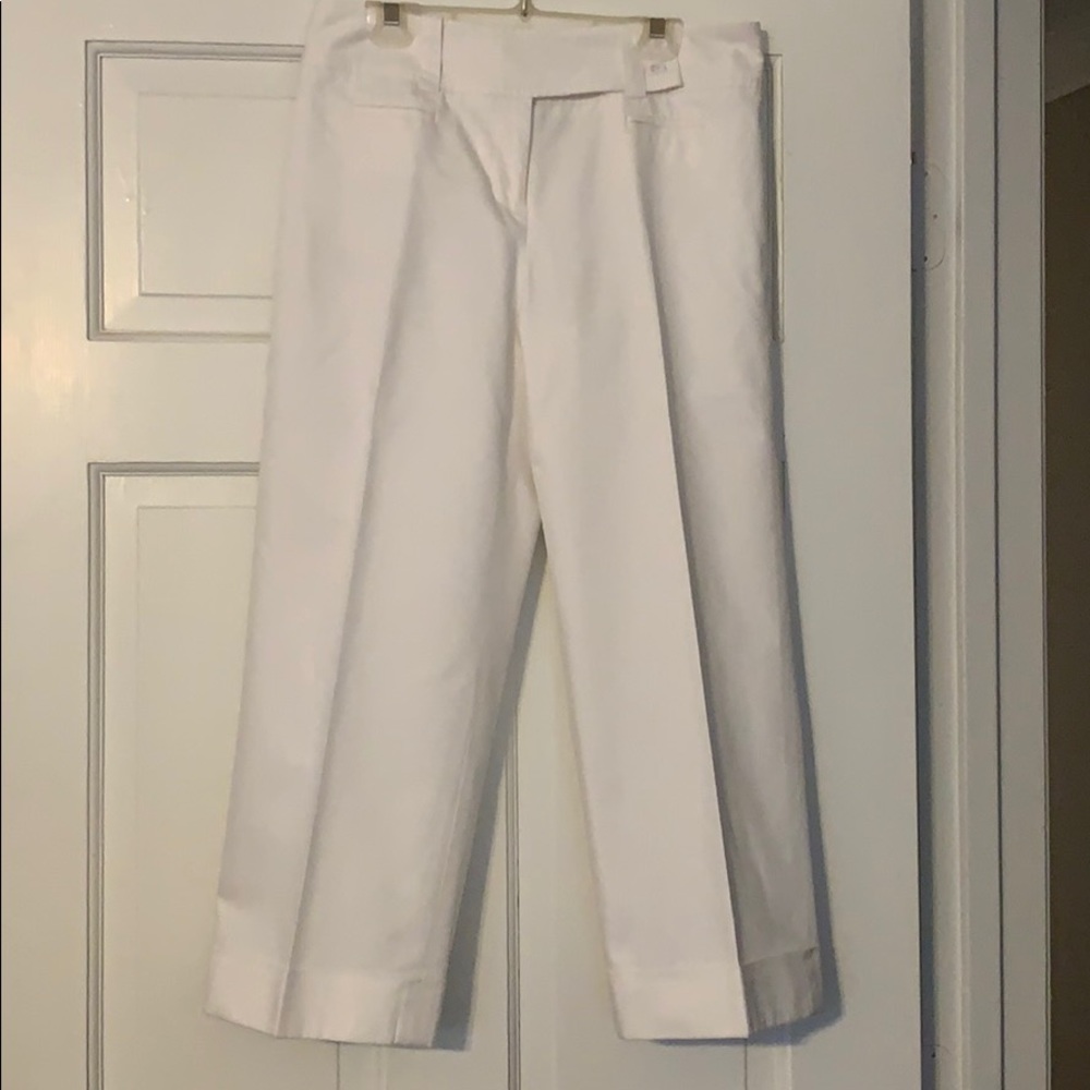 Ann Taylor Wide Leg Crop Pants